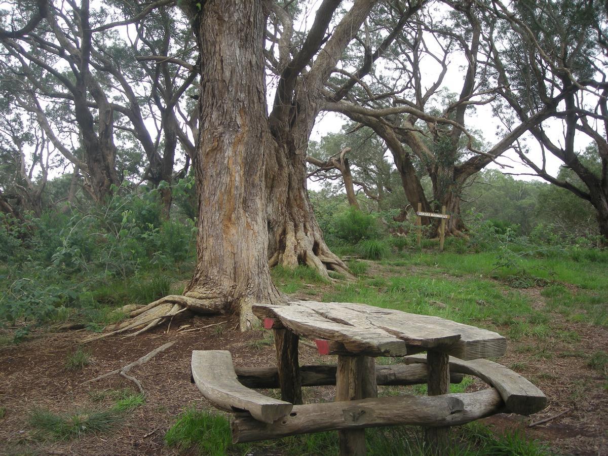 Relais Du Volcan La Plaine des Cafres Exteriér fotografie